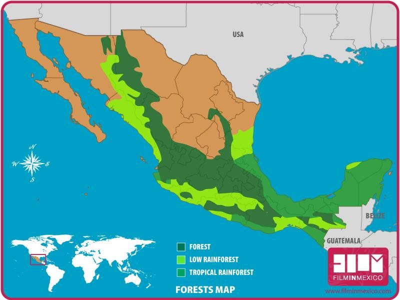 mapa ng Mexico gubat