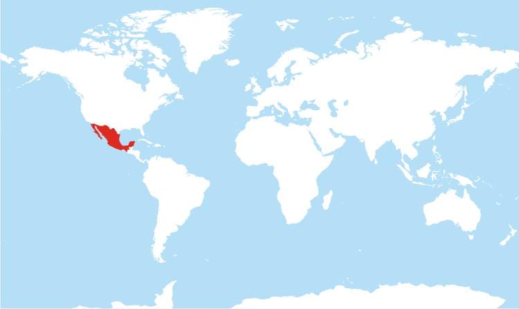 lokasyon ng Mexico sa mapa ng mundo