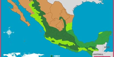 Mapa ng Mexico gubat
