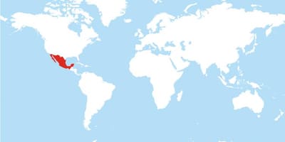 Lokasyon ng Mexico sa mapa ng mundo